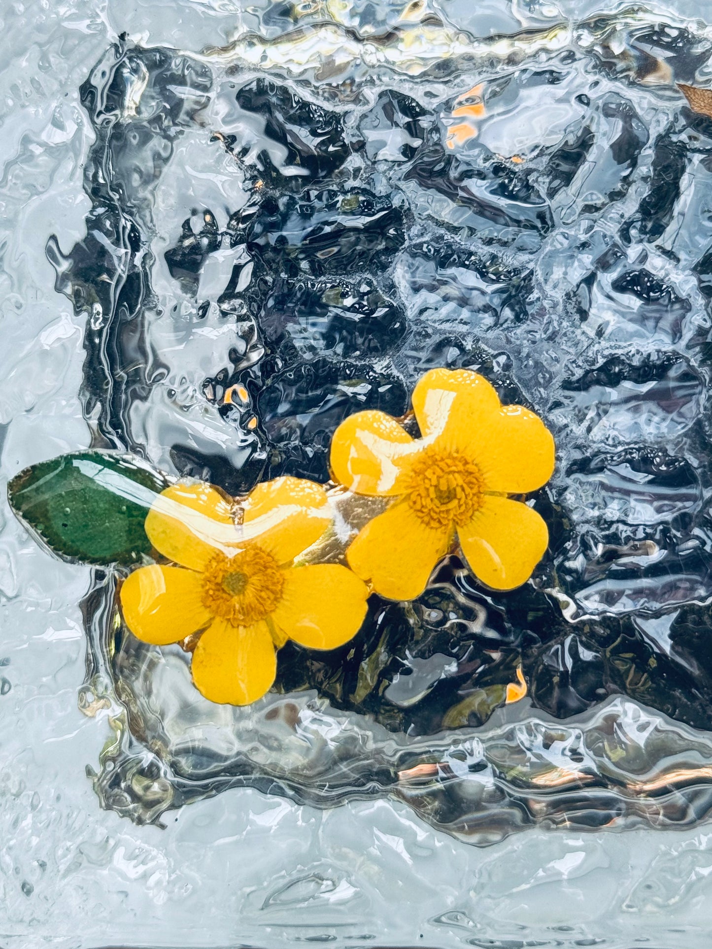 Daisy & Buttercup Bloom Clips