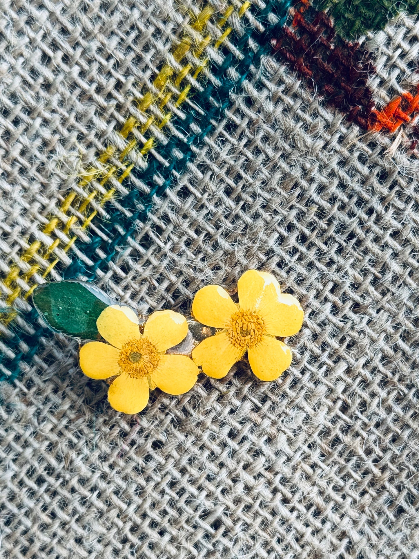 Daisy & Buttercup Bloom Clips