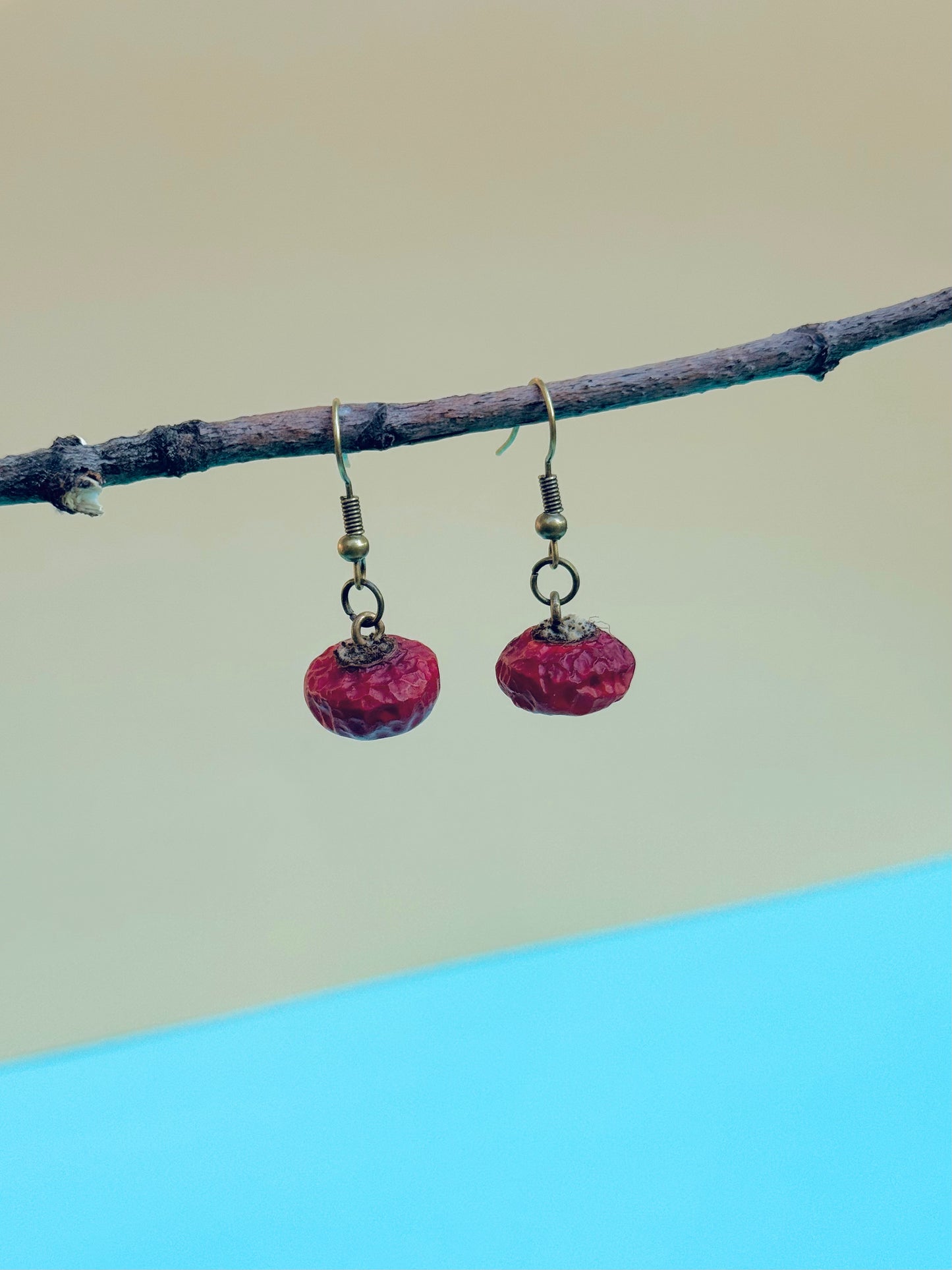 🌹 Naturally Dried Rosehip Earrings – Botanical Simplicity