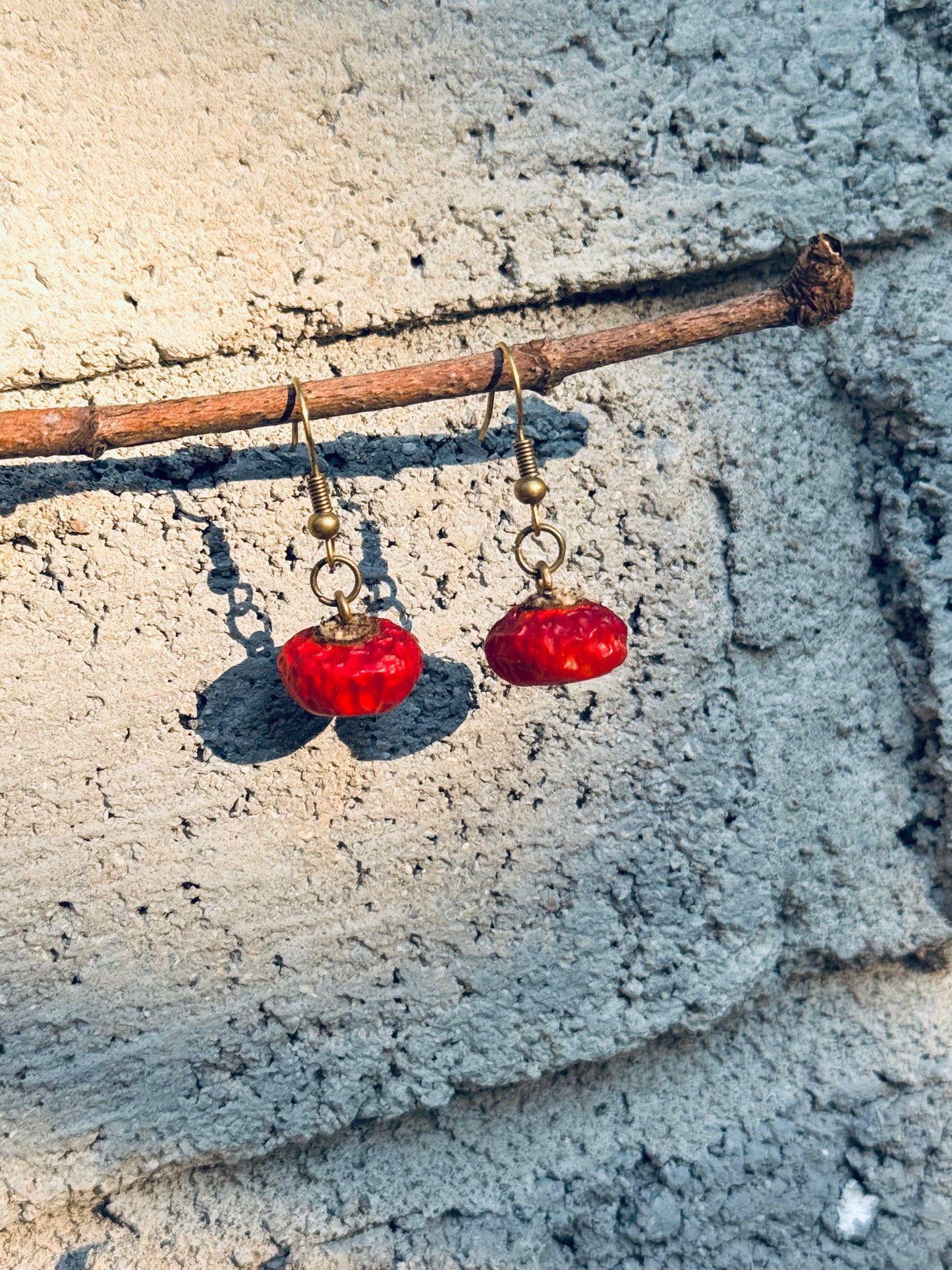 🌹 Naturally Dried Rosehip Earrings – Botanical Simplicity