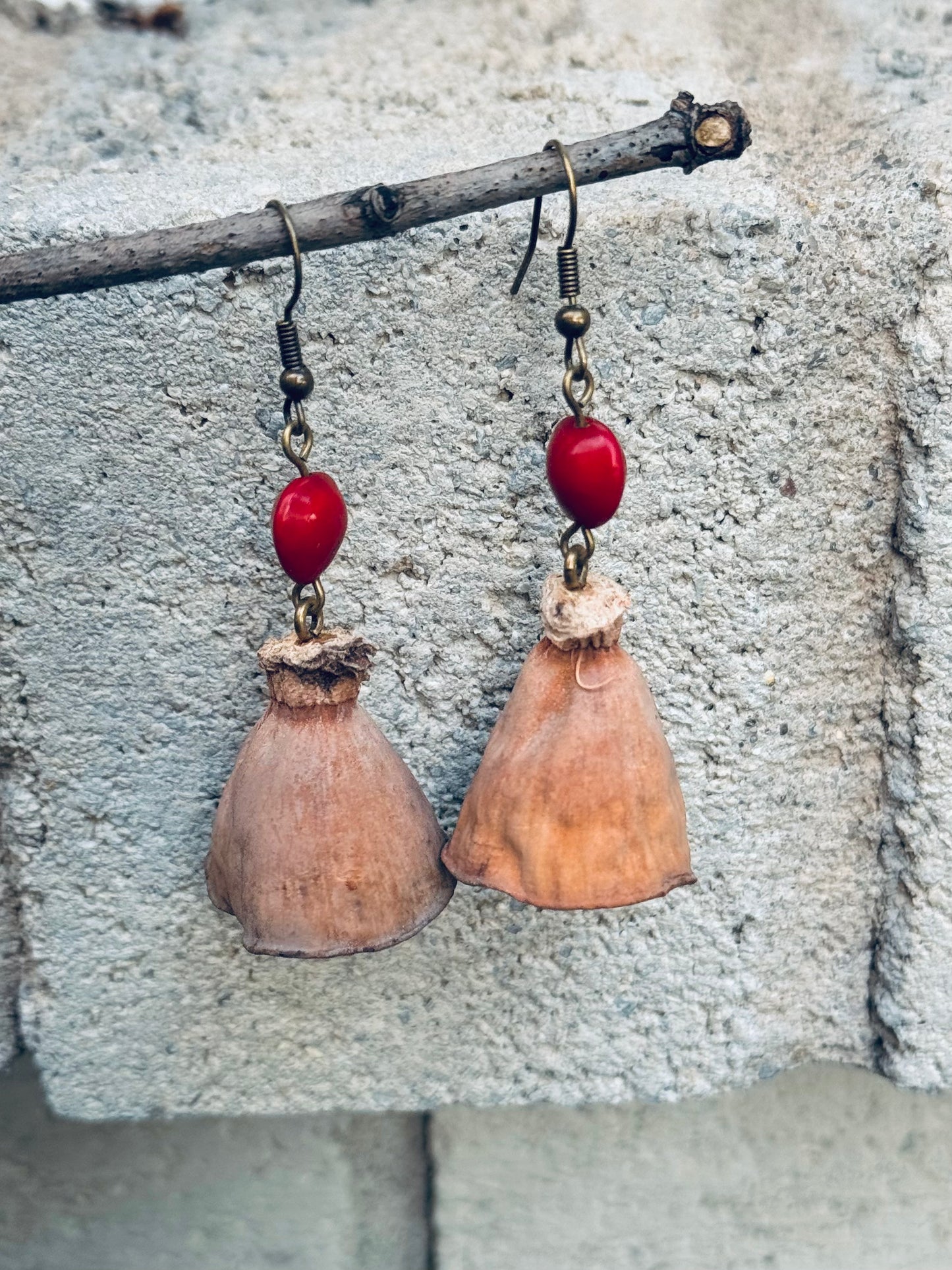Lotus Pod & Love Bean Earrings Organic | Lightweight | Nature-Inspired