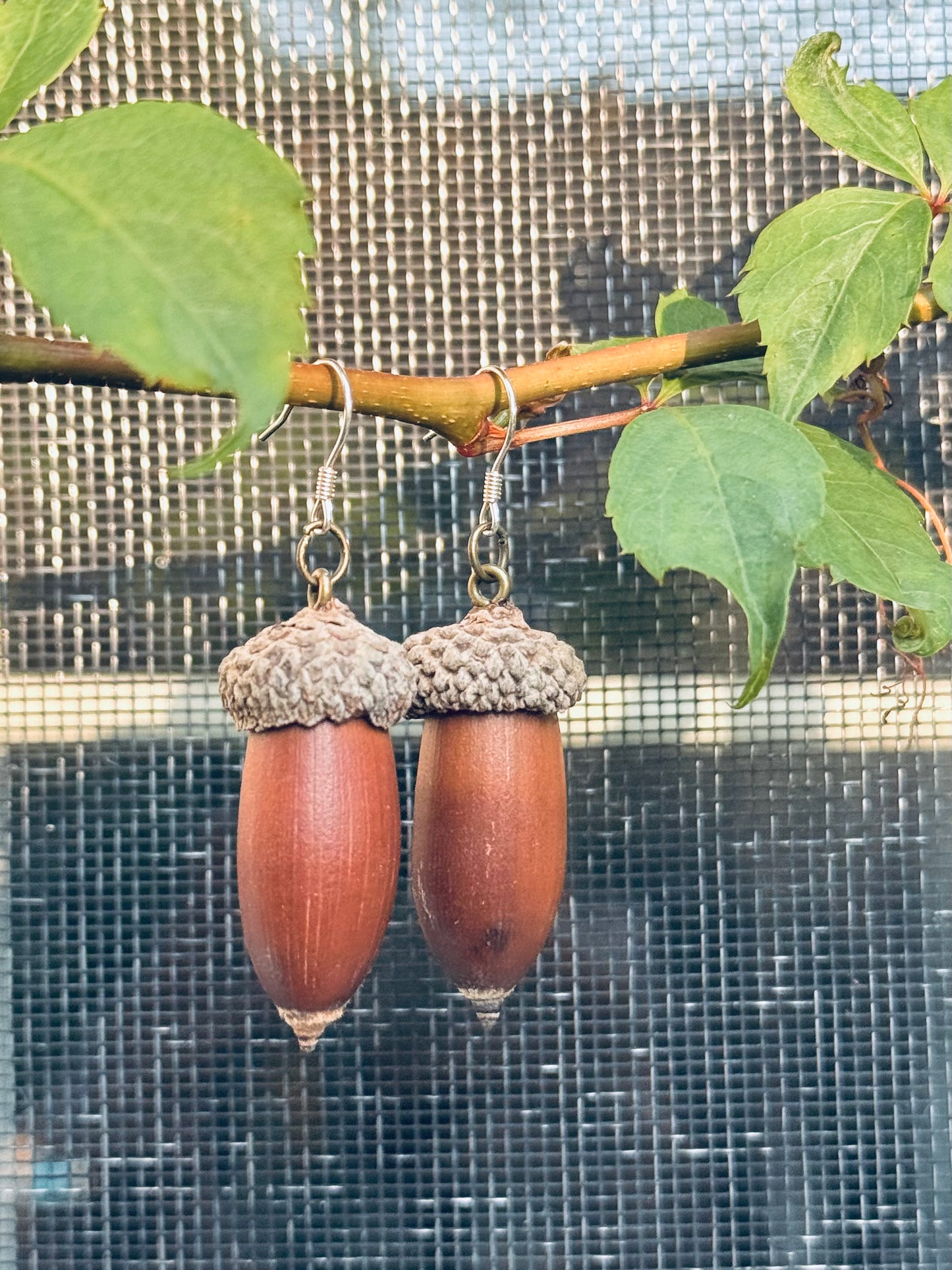 Long Acorn Drop Earrings – Silver Hook 🌰✨ Forest Whispers