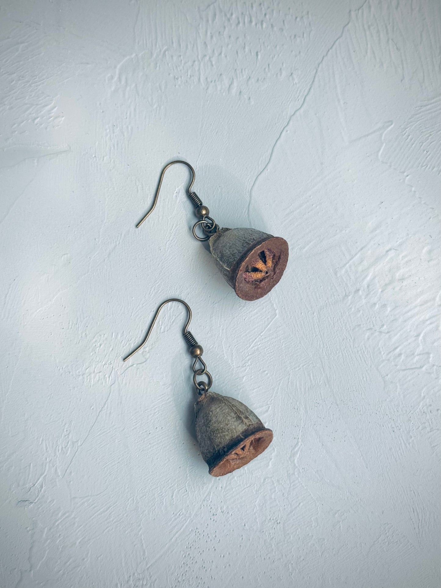π Bell Fruit Drop Earrings Natural & Unique