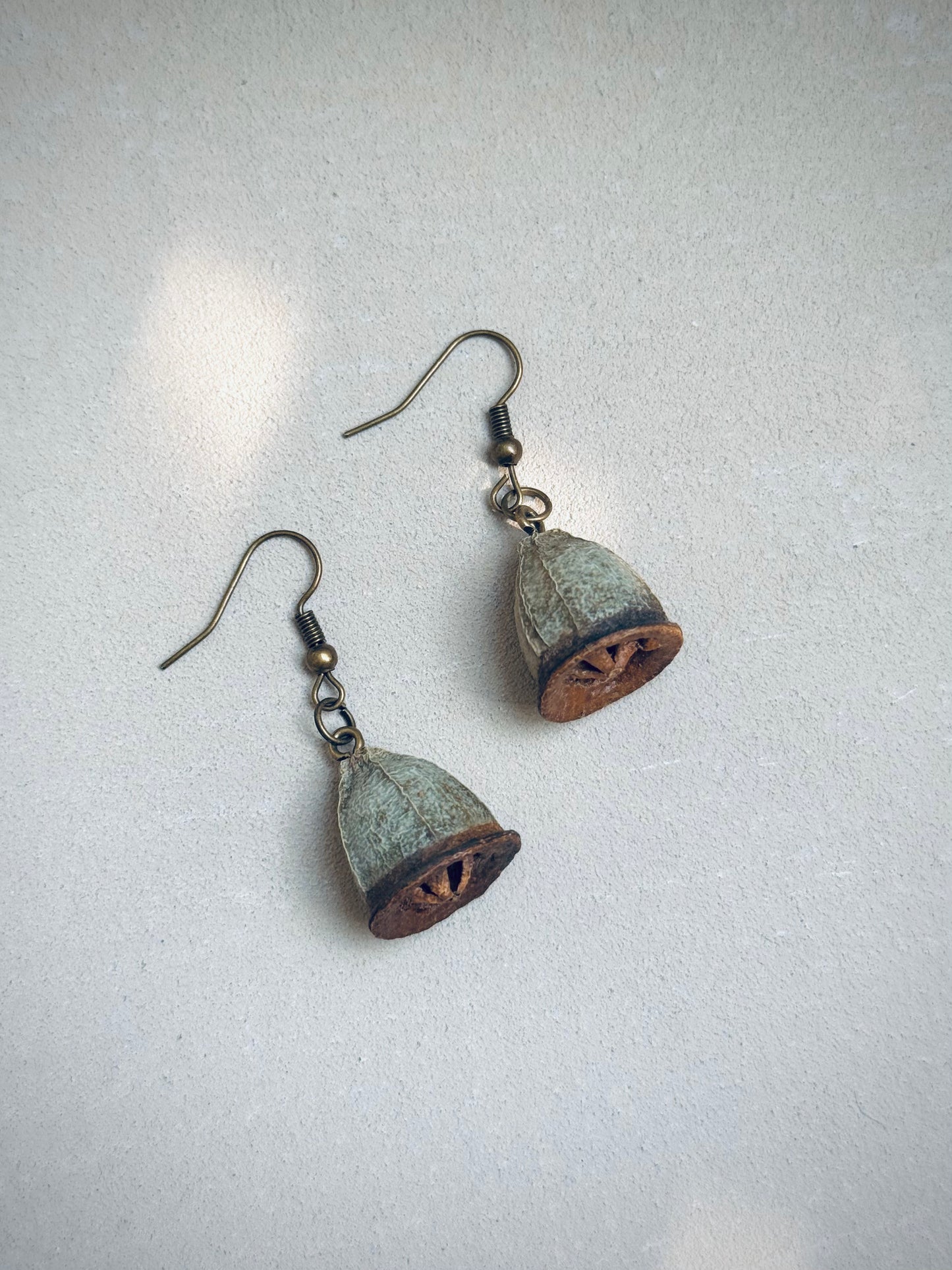 π Bell Fruit Drop Earrings Natural & Unique