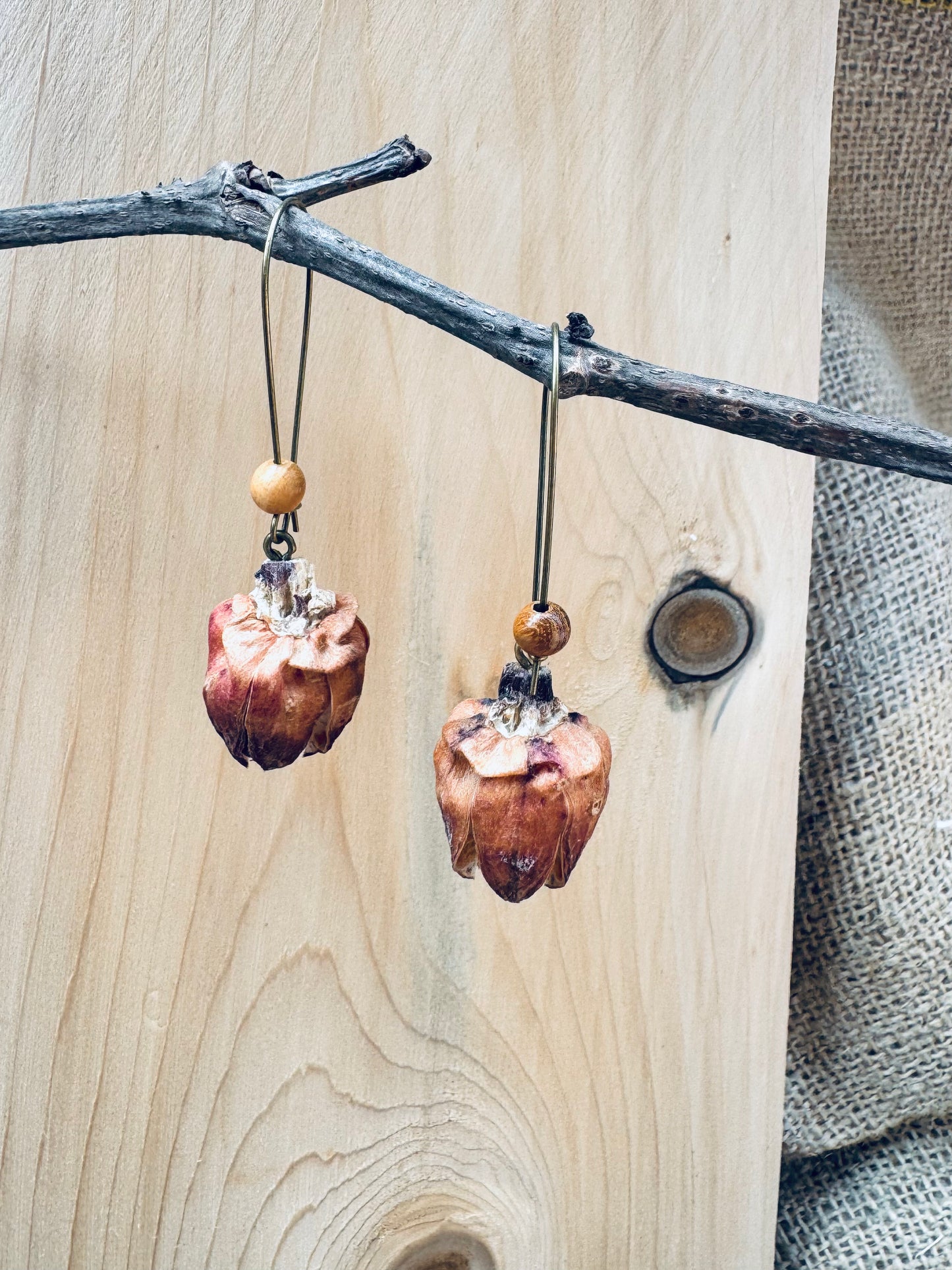 🌿 Sandalwood Blossom Drop Earrings – Copper & Rose Shell Accents