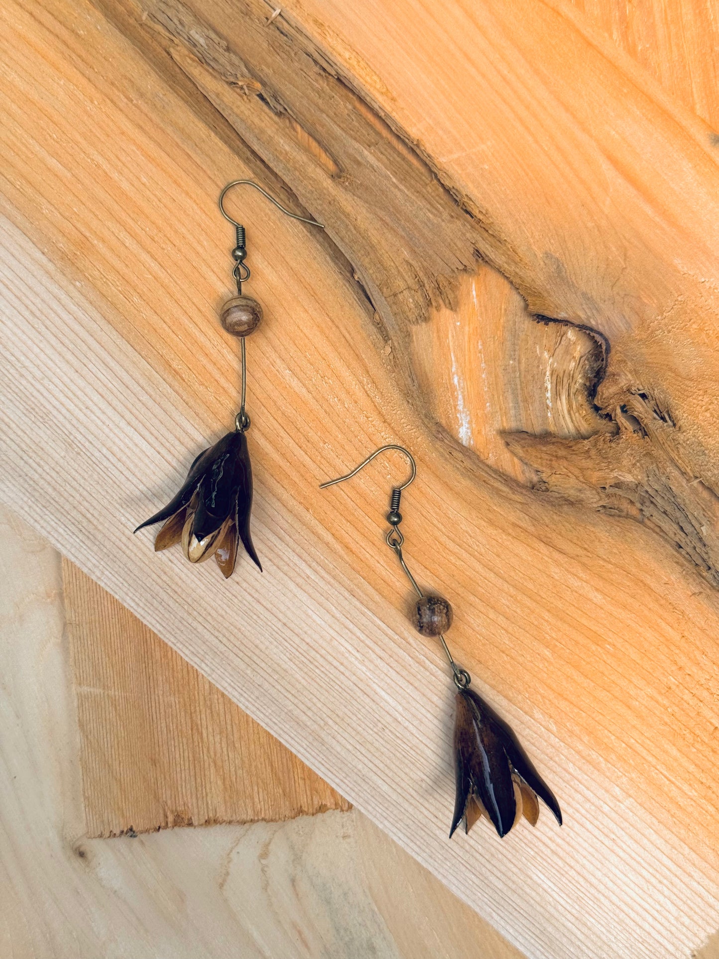 Toon Fruit Drop Earrings – Wild & Earthy Elegance