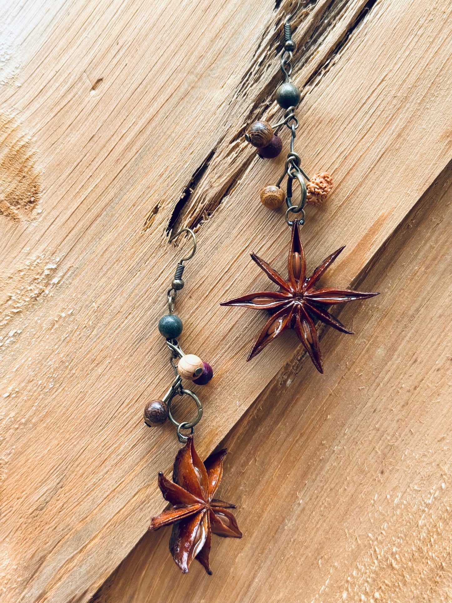 🌿 Nature Totem Earrings