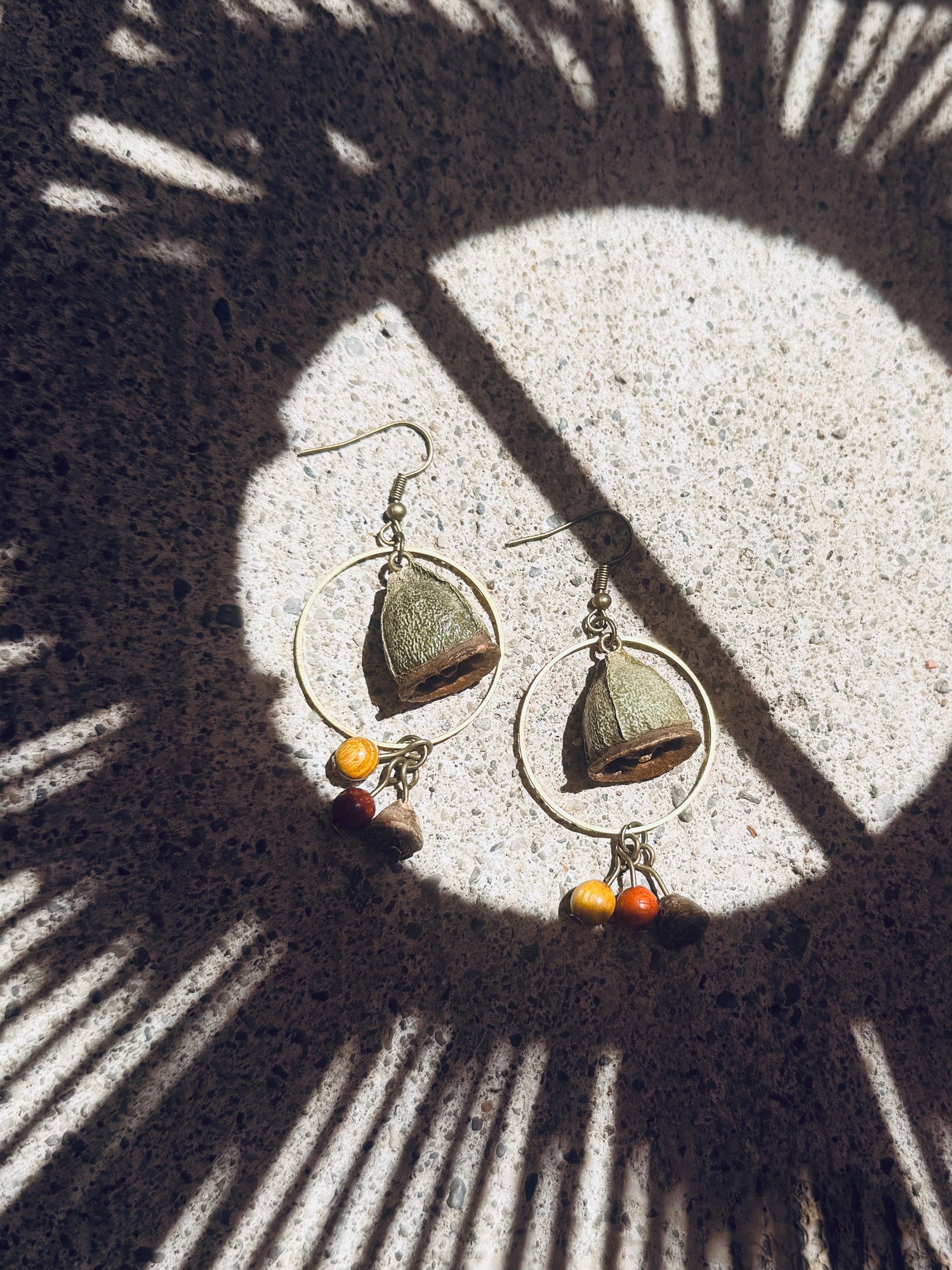 🌱 Nature’s Pods & Seeds Collection