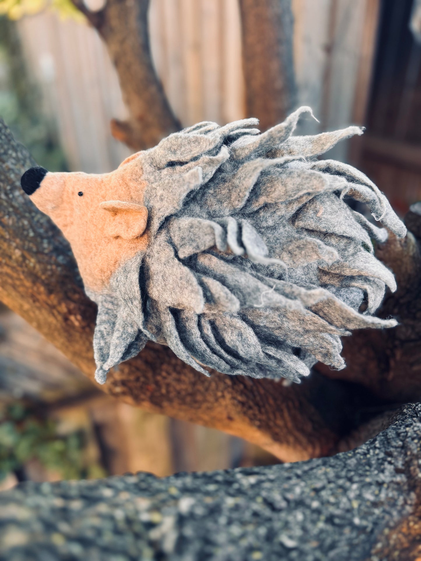 Hedgehog Felt Hat – Handmade in Nepal from 100% Wool