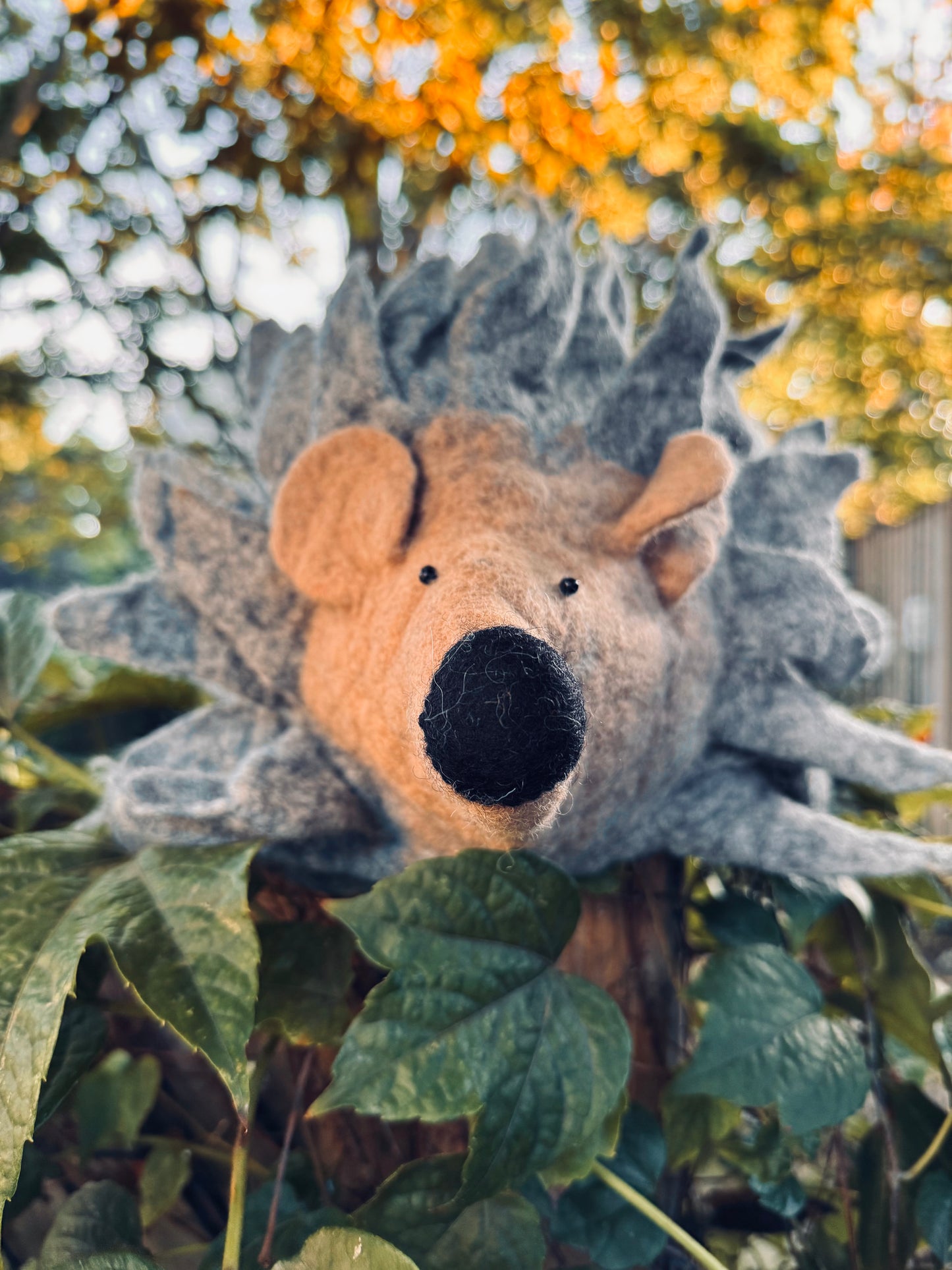 Hedgehog Felt Hat – Handmade in Nepal from 100% Wool