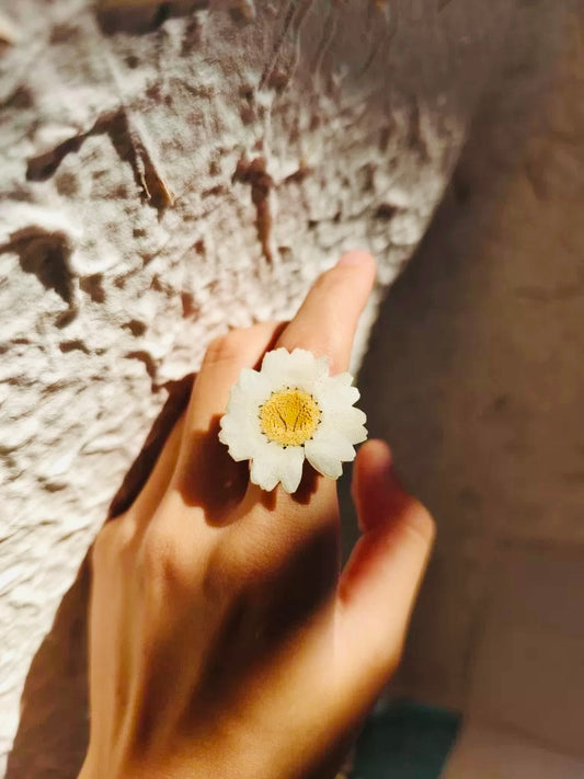 Adjustable Ring with Real Dried Daisy