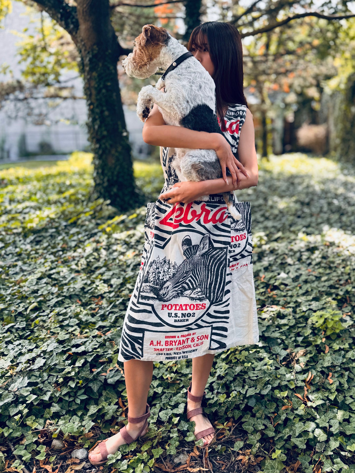 Artisan Washed Cotton Dress with Retro Zebra Print