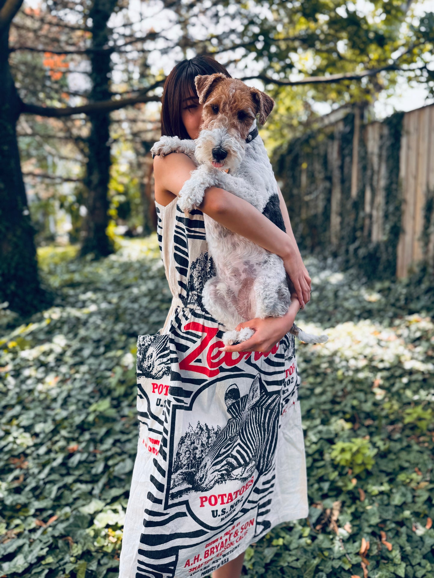 Artisan Washed Cotton Dress with Retro Zebra Print