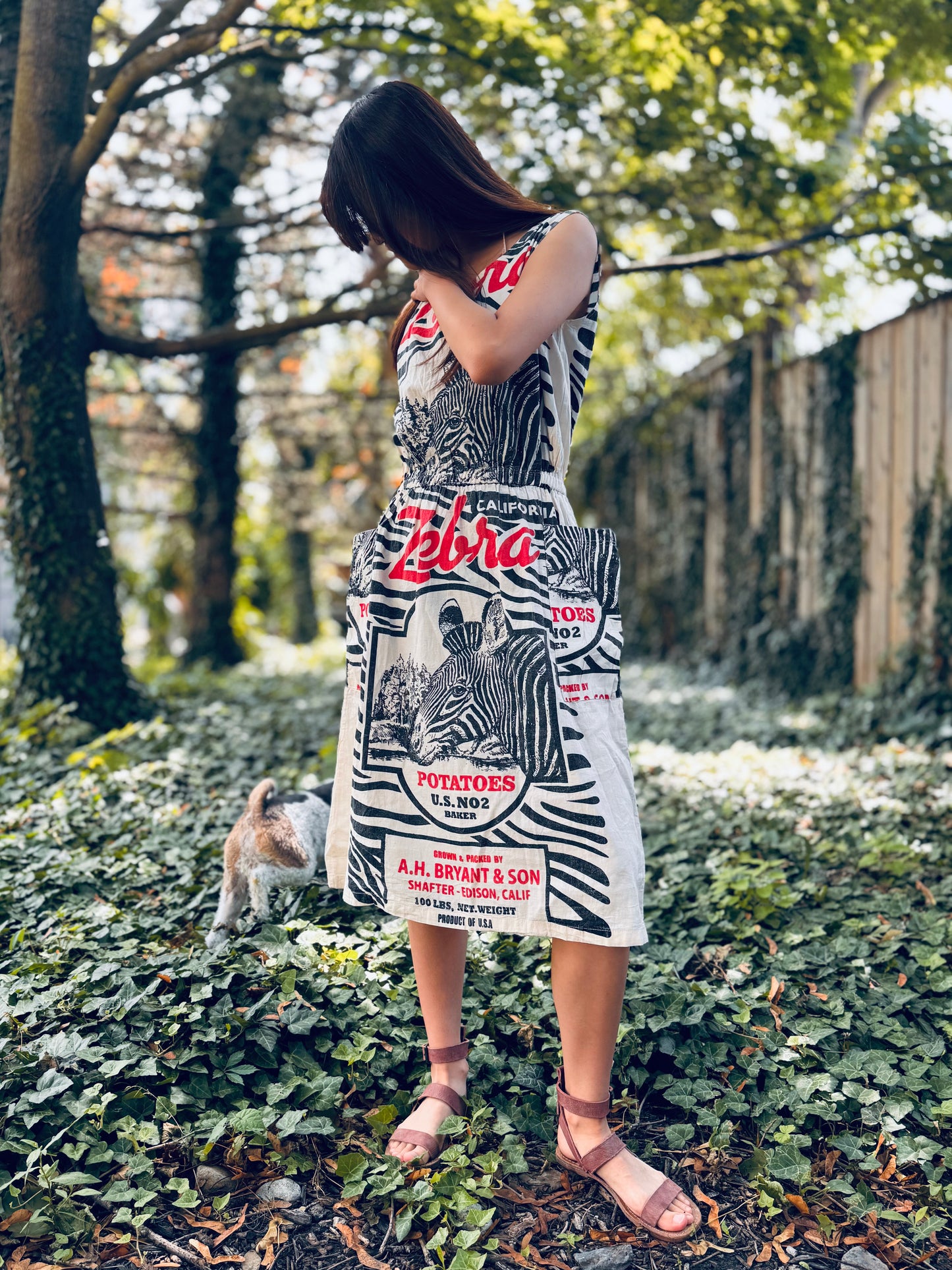 Artisan Washed Cotton Dress with Retro Zebra Print