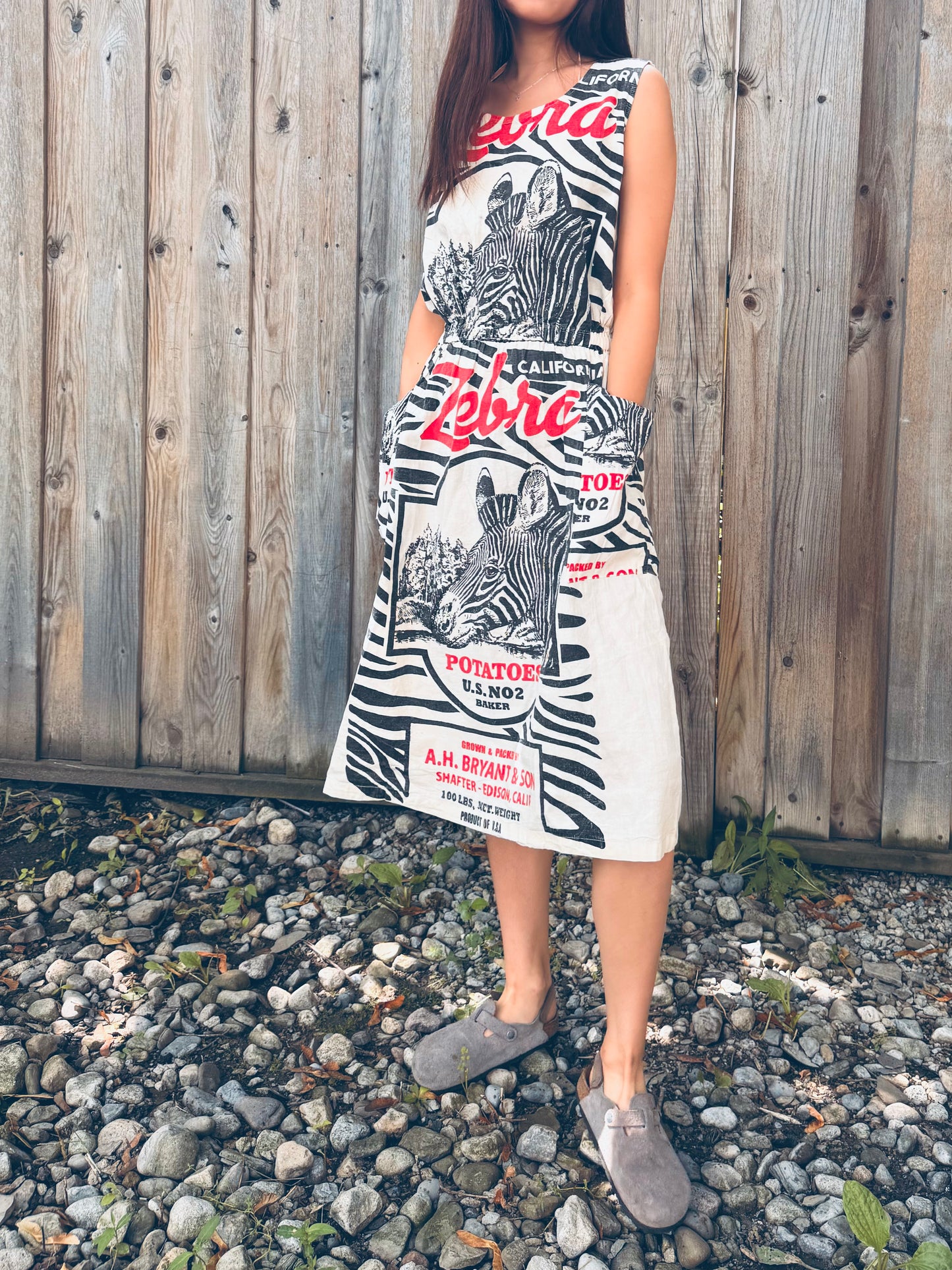 Artisan Washed Cotton Dress with Retro Zebra Print