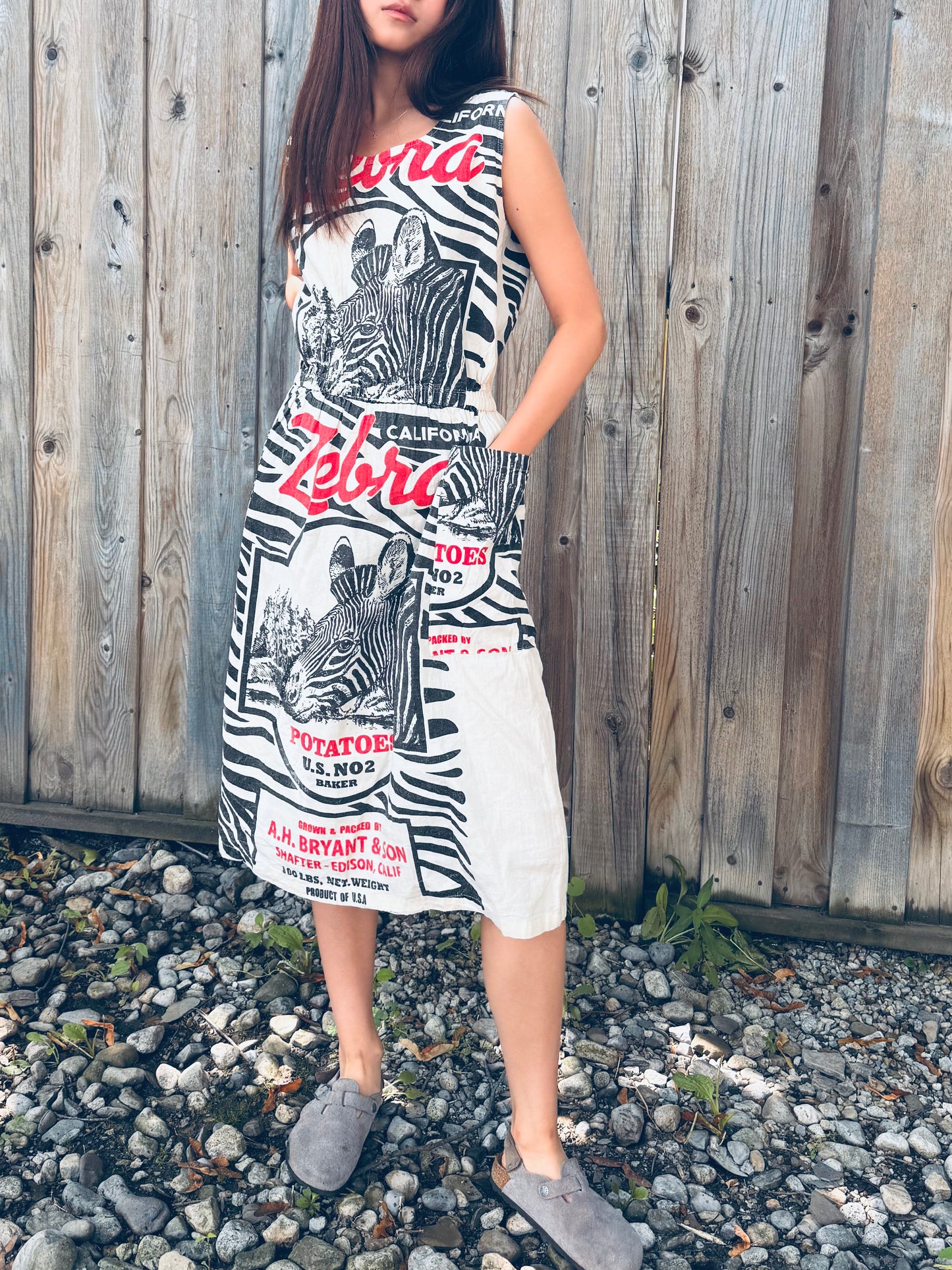 Artisan Washed Cotton Dress with Retro Zebra Print