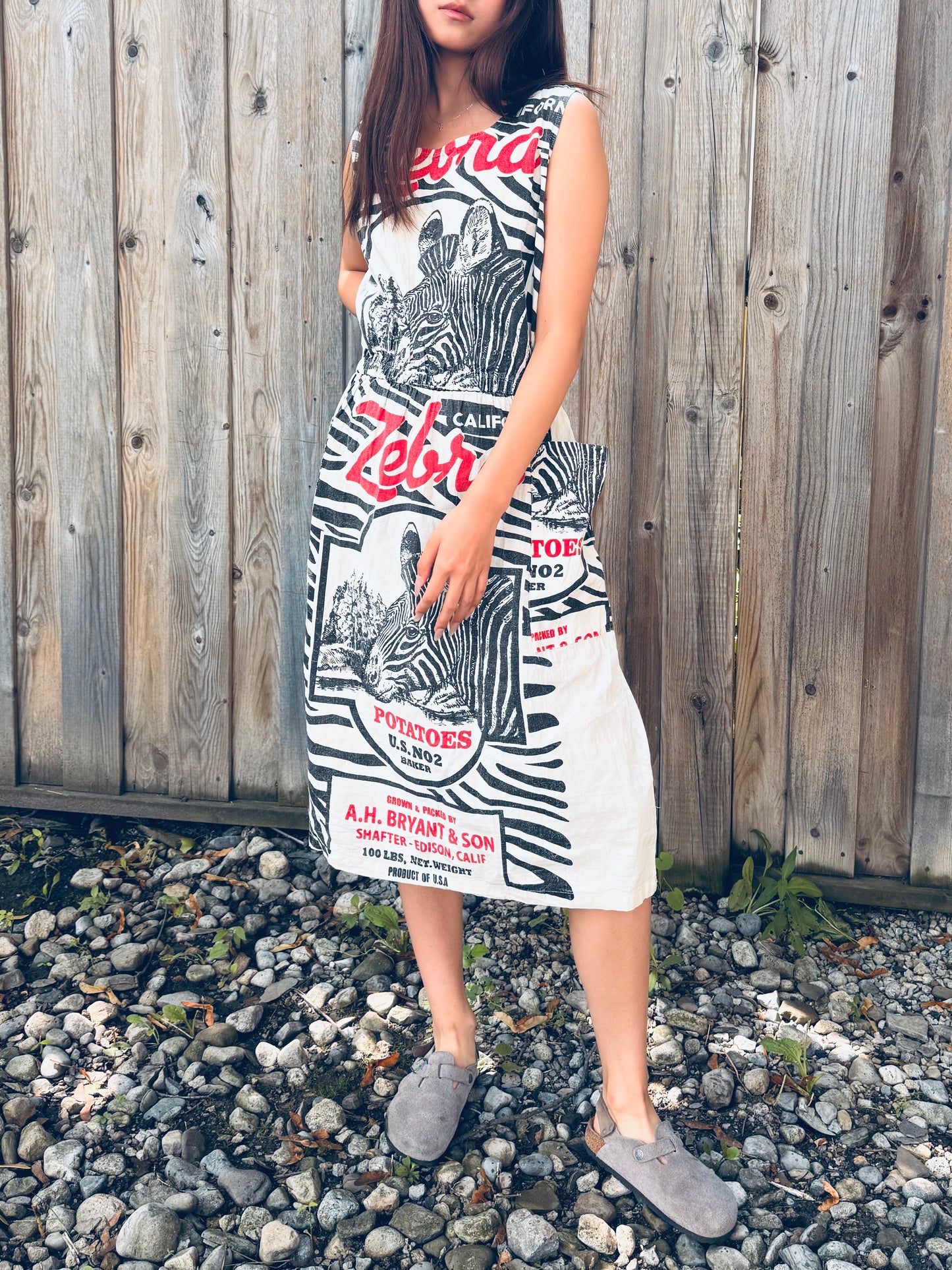 Artisan Washed Cotton Dress with Retro Zebra Print