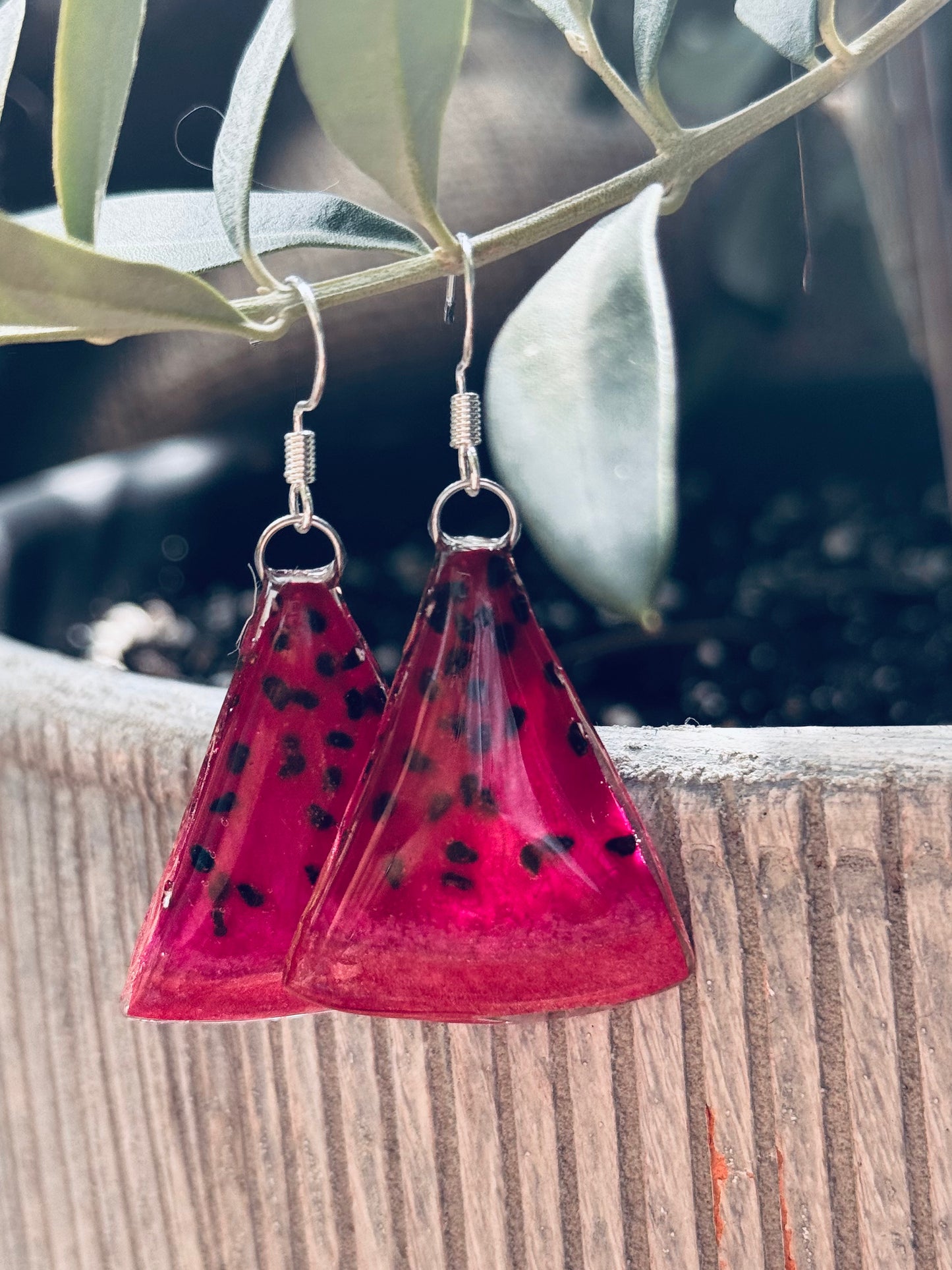 Real Purple Dragon Fruit Slice Earrings – Sterling Silver Hooks