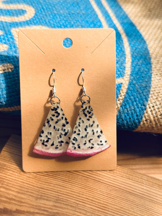 Real Dragon Fruit Slice Earrings – Silver Hooks