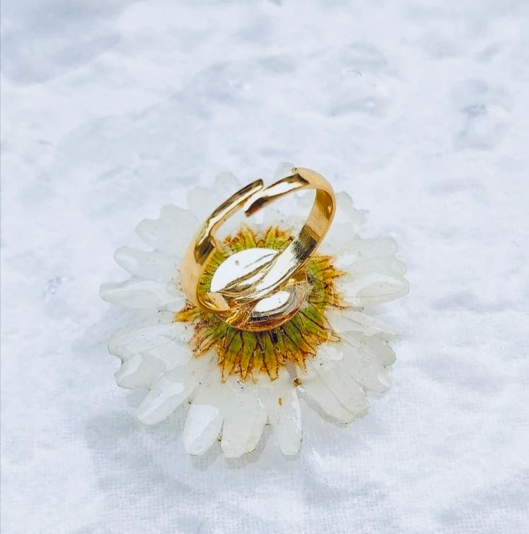 Adjustable Ring with Real Dried Daisy