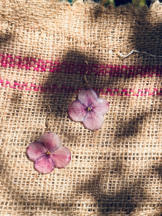Blooming Hydrangea Earrings – Real Dried Flowers, 14k Gold‑Plated Hooks