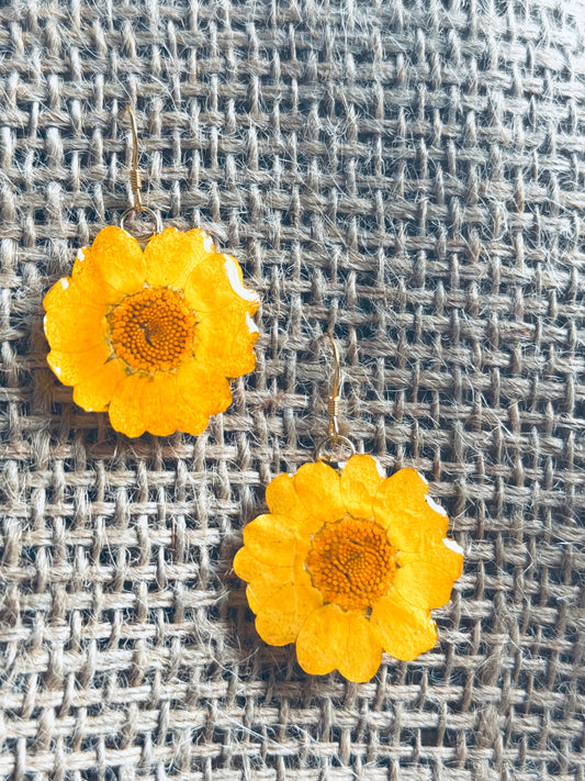 Sunny Daisy Earrings | 14k Gold‑Plated Hooks