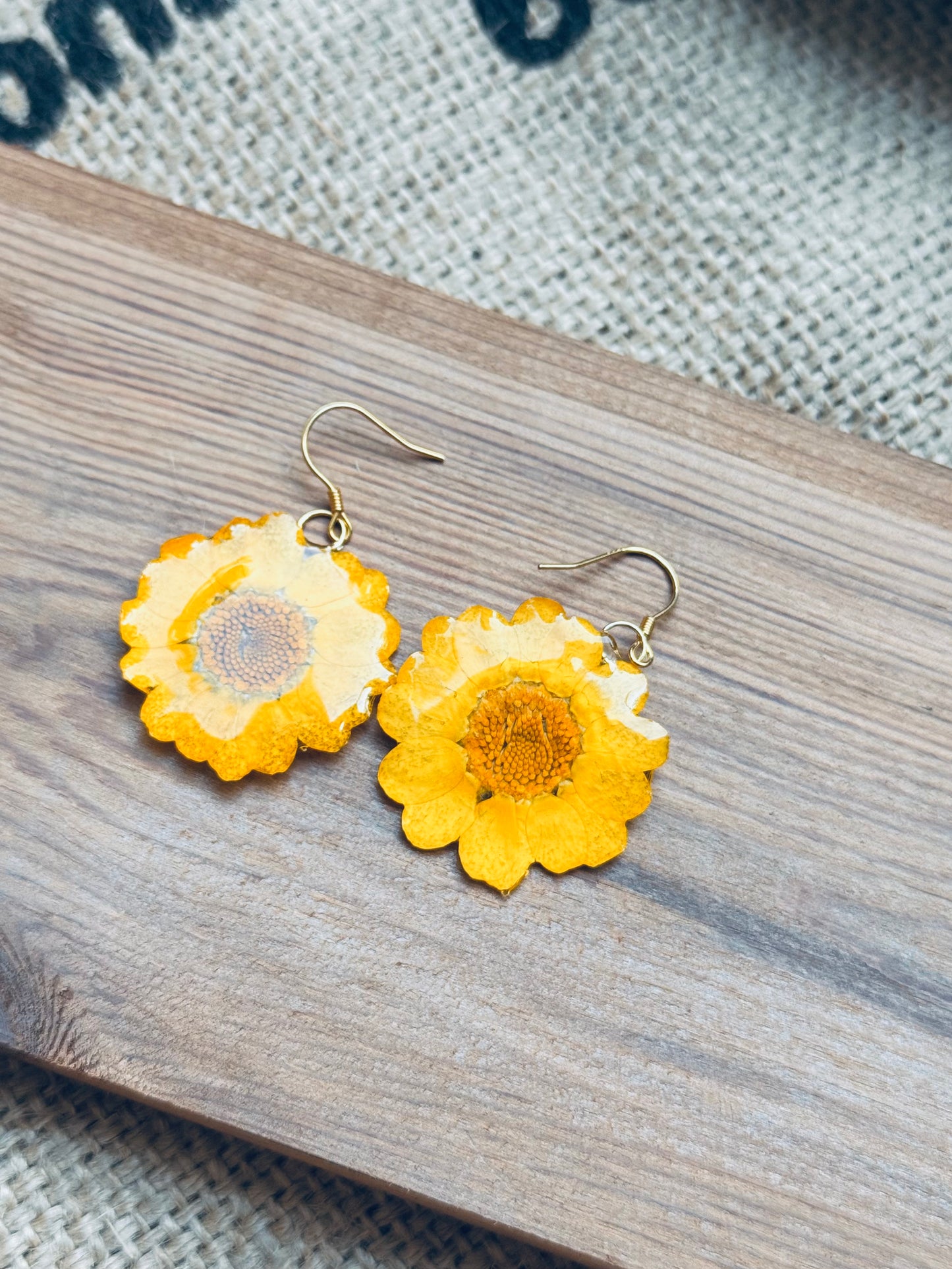 Sunny Daisy Earrings | 14k Gold‑Plated Hooks
