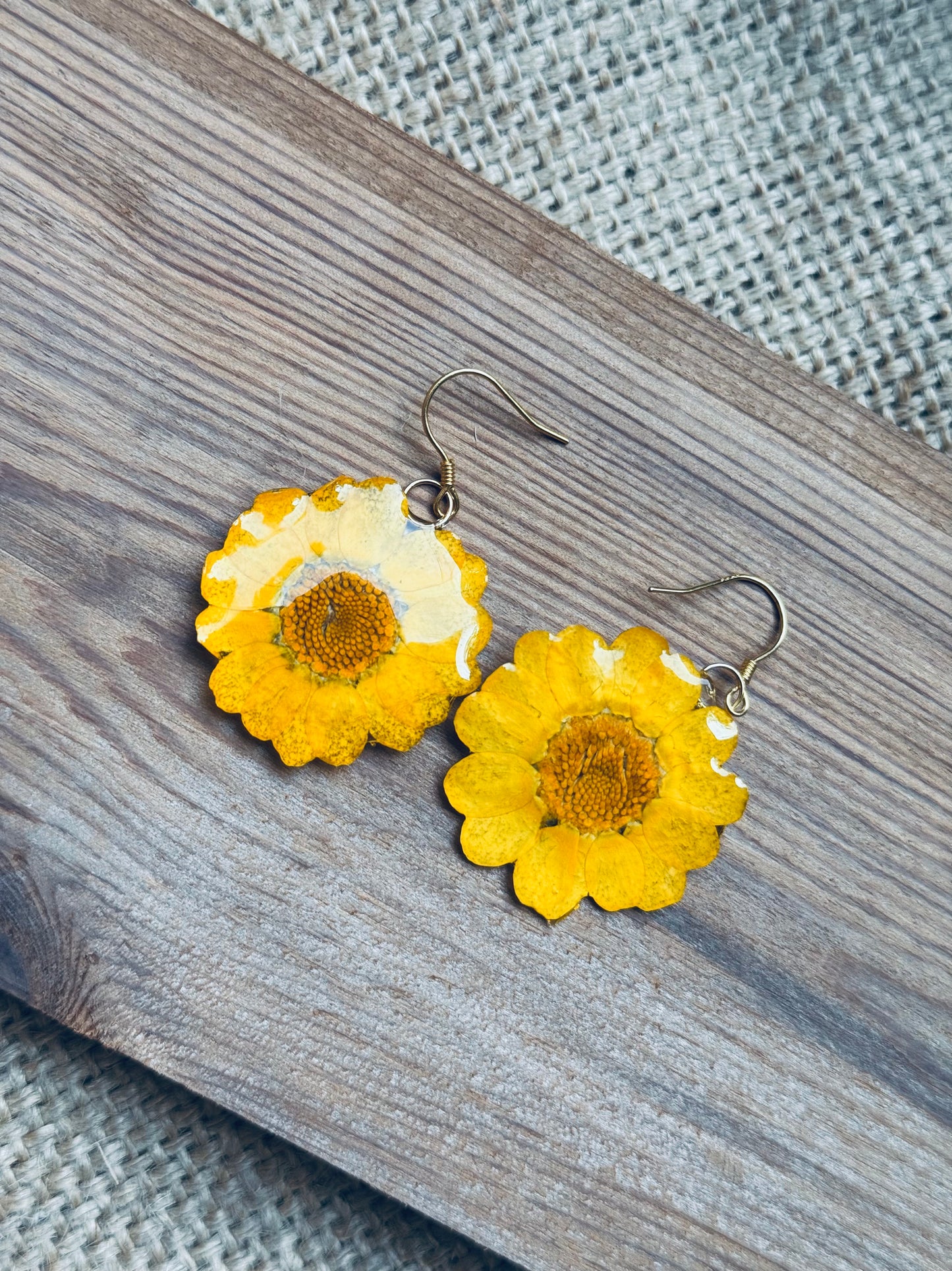Sunny Daisy Earrings | 14k Gold‑Plated Hooks
