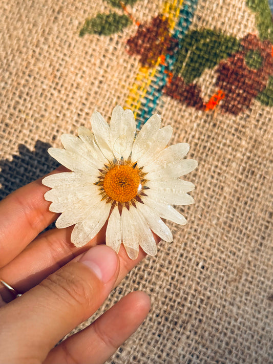 Classic Daisy Bloom Clip