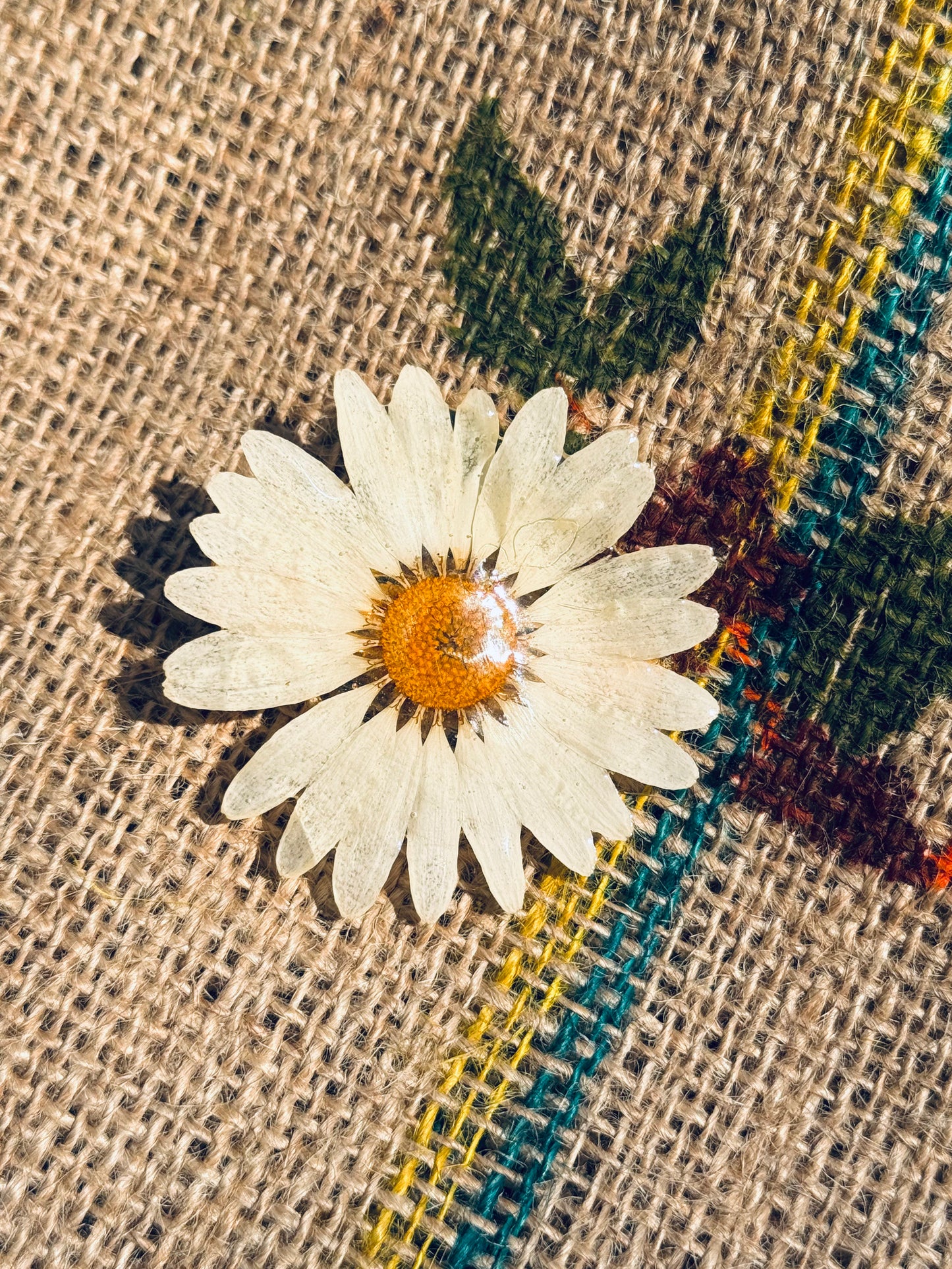 Classic Daisy Bloom Clip