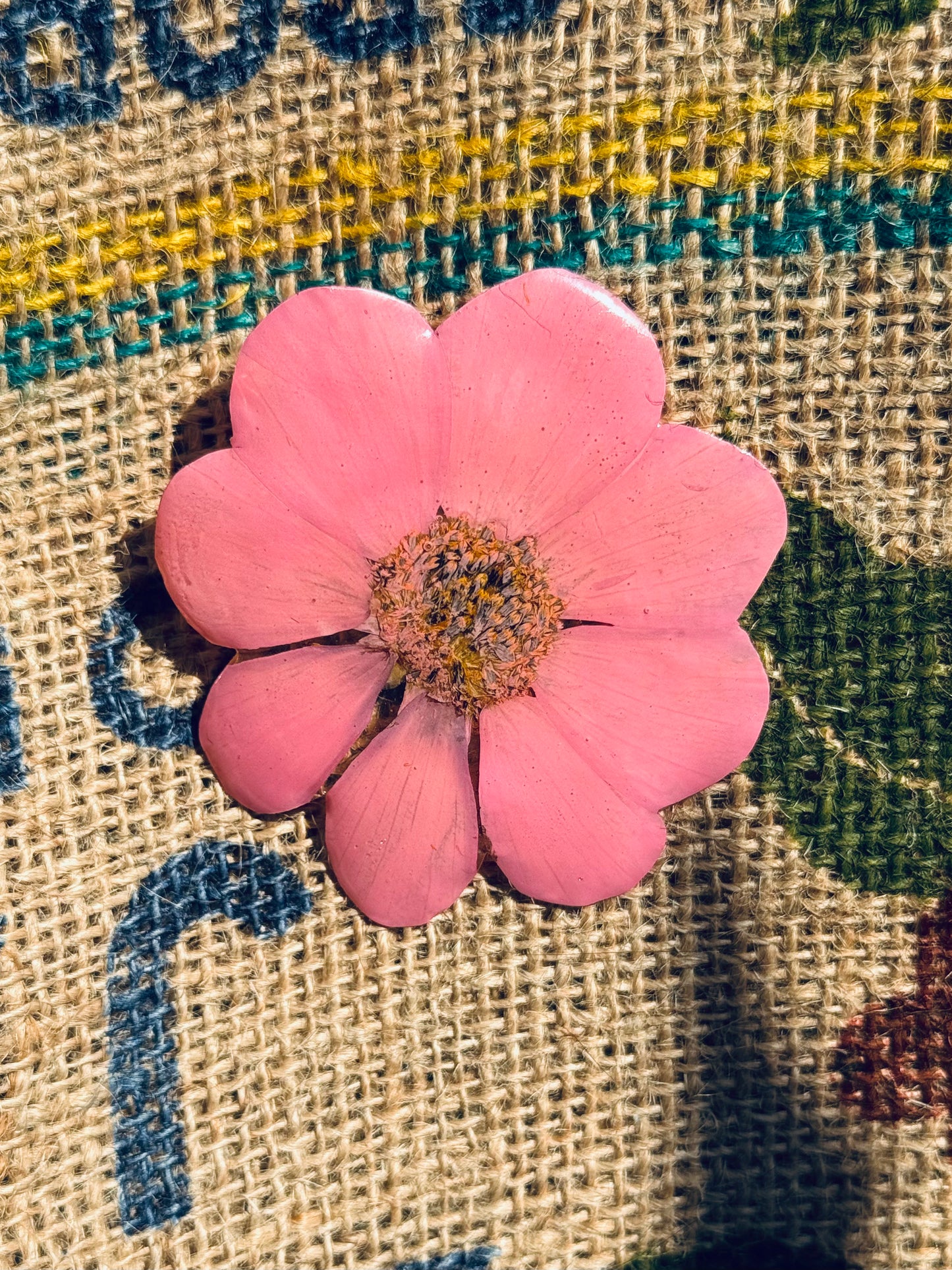Pink Cosmos Bloom Clip