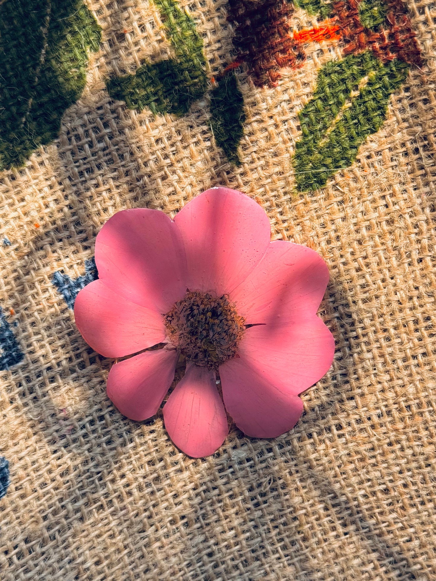 Pink Cosmos Bloom Clip