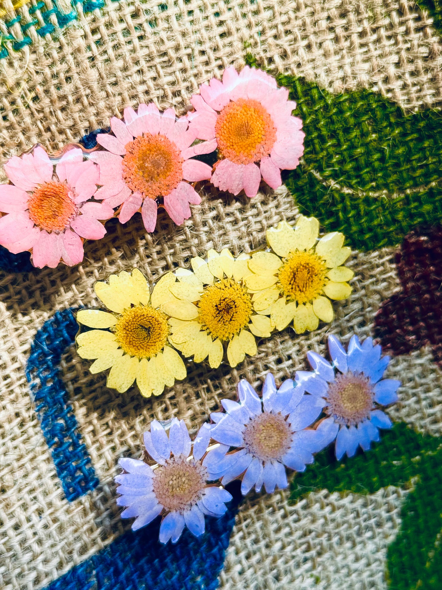 Blooming Daisy Clip Collection