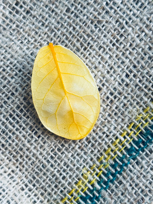 Natural Oak Leaf Clips