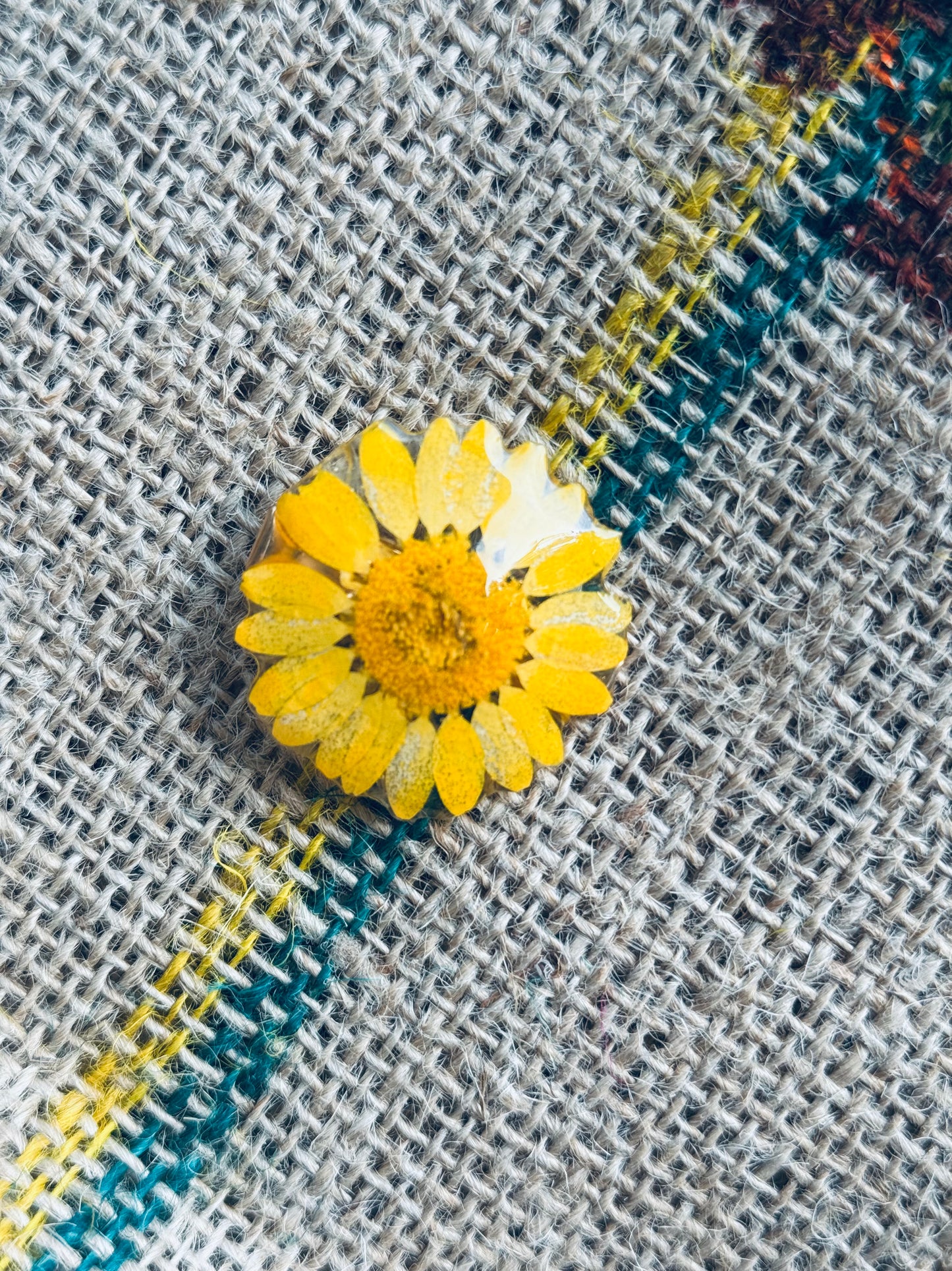 Wild Bloom Clips