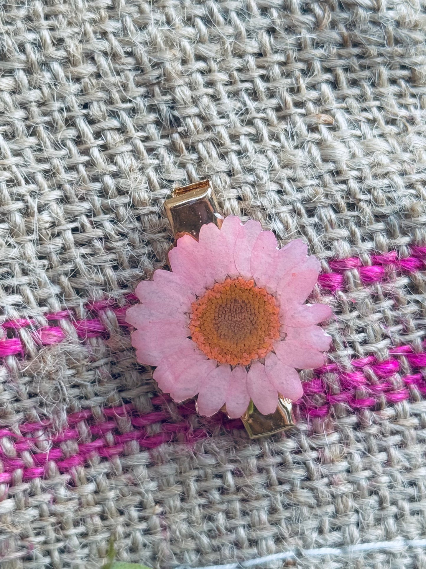 Wild Bloom Clips