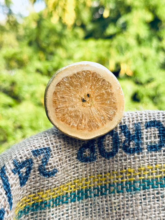 🍋 Citrus Glow Lemon Clip