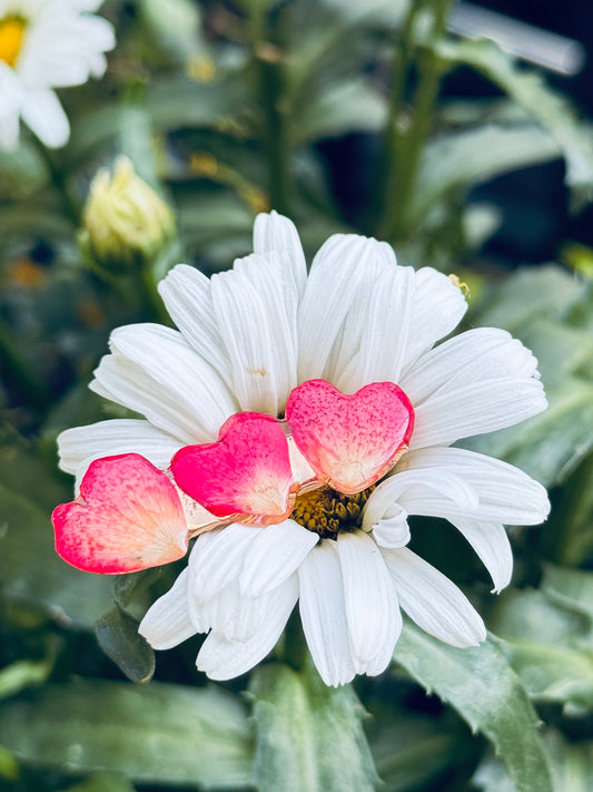 💗 Heart Petal Bloom Clip