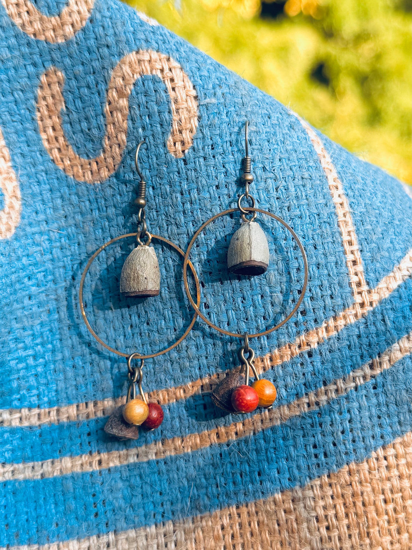 🌰 Bell Fruit & Wood Seed Earrings | Copper Hook