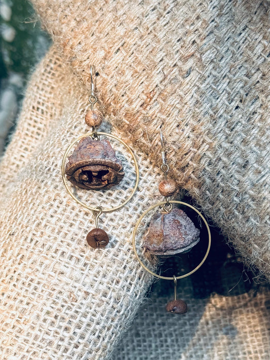 🌿 “Whispers of the Eucalyptus” – Seed Pod Earrings