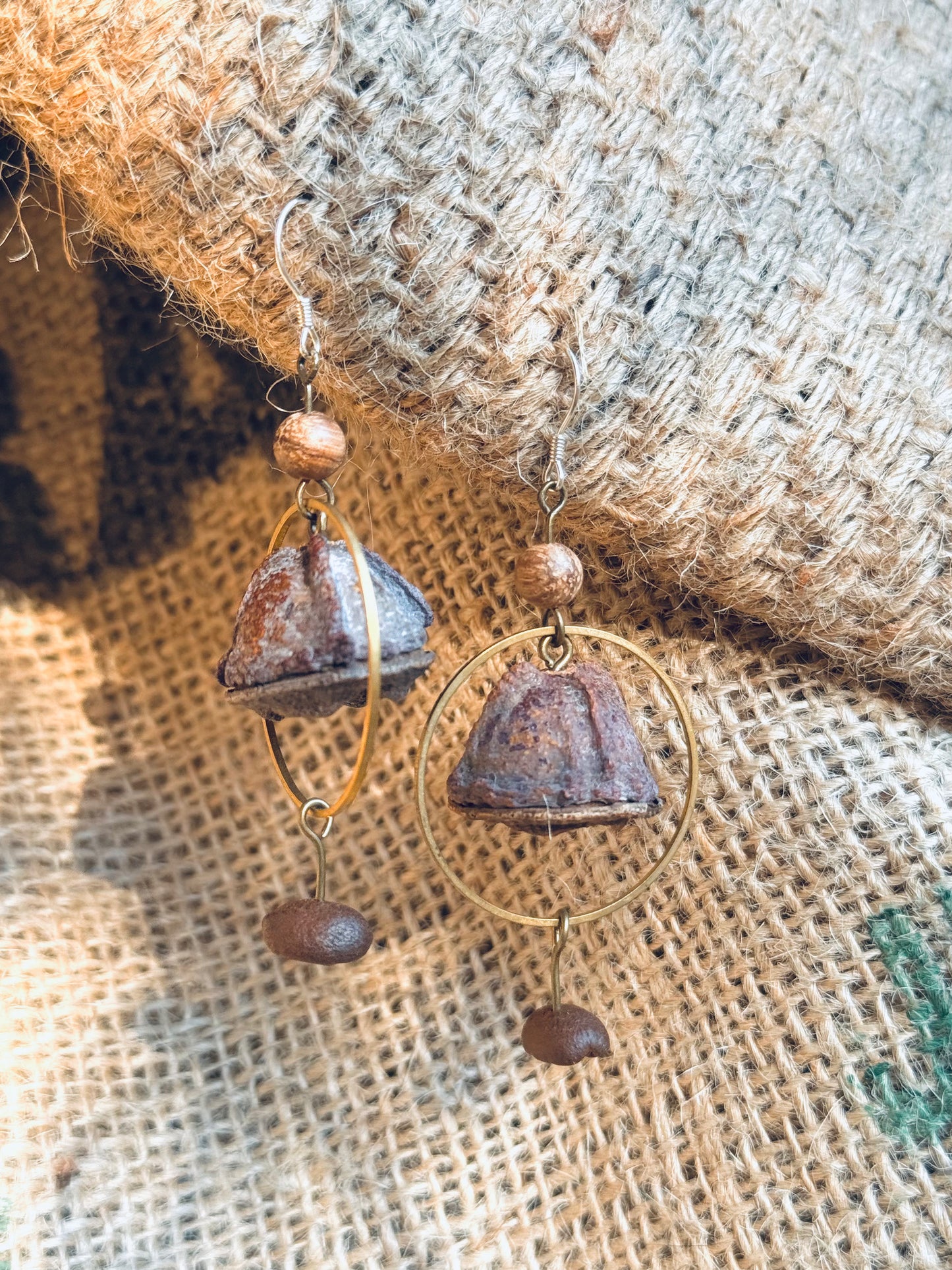 🌿 “Whispers of the Eucalyptus” – Seed Pod Earrings