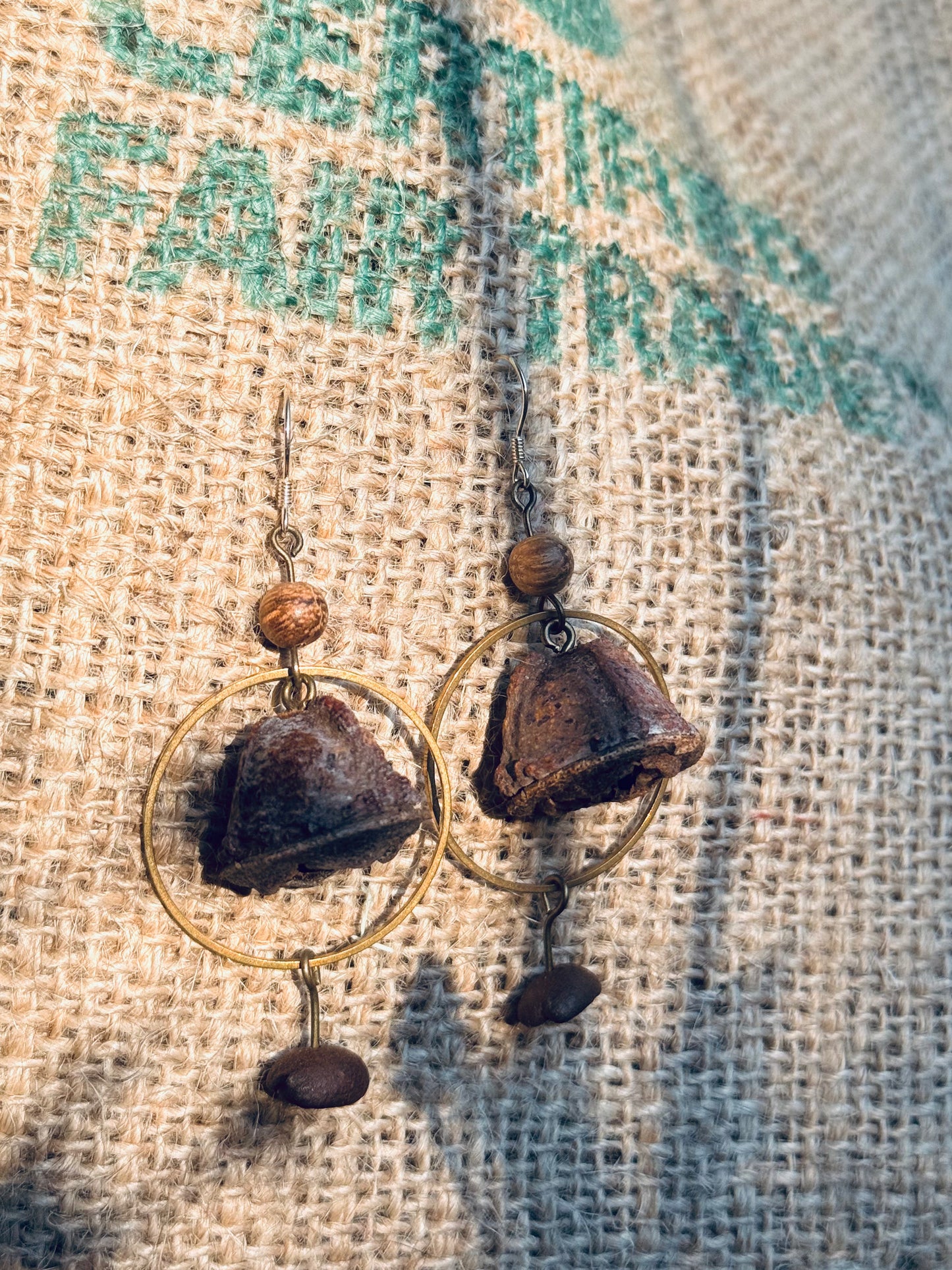 🌿 “Whispers of the Eucalyptus” – Seed Pod Earrings