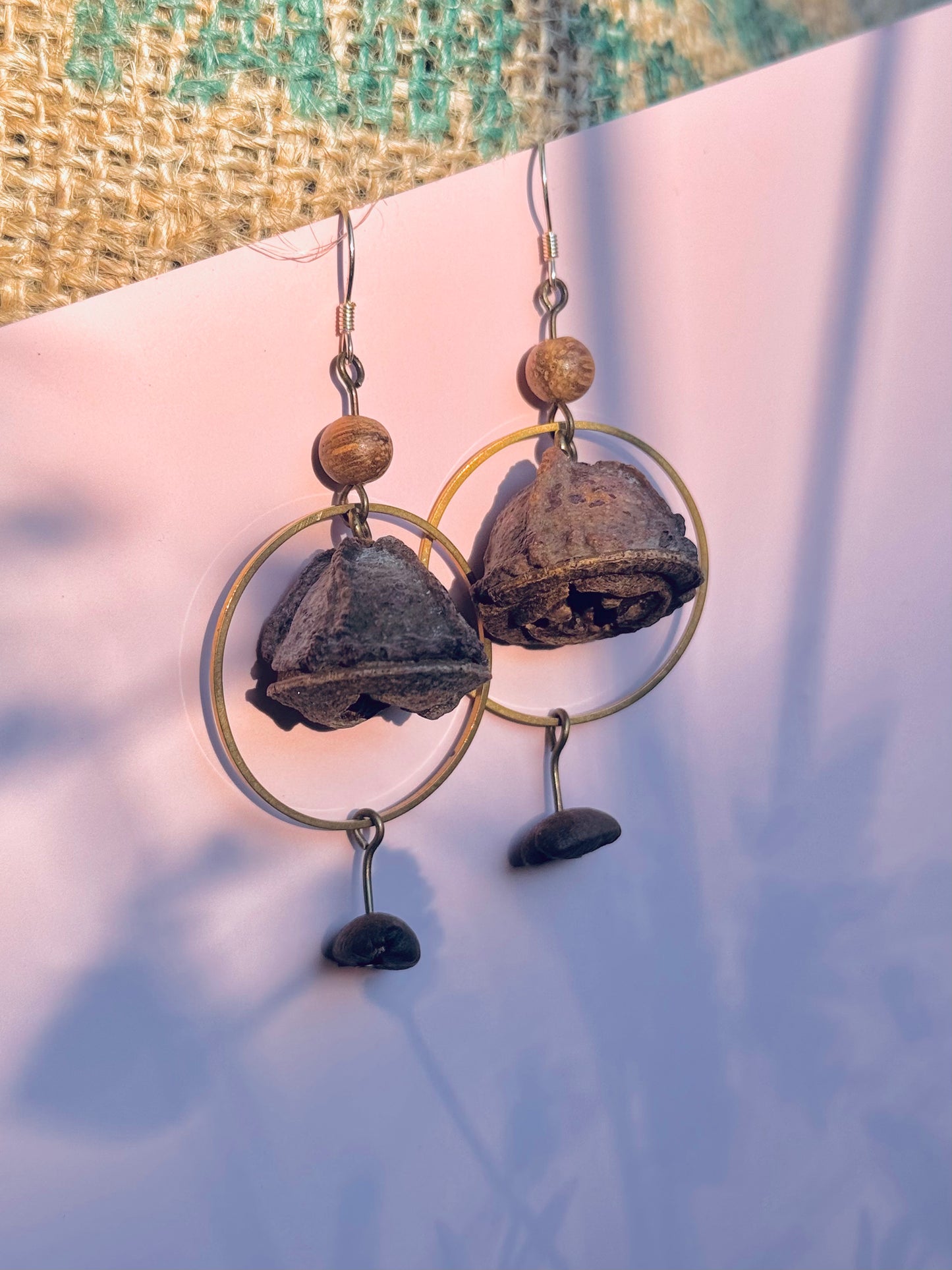 🌿 “Whispers of the Eucalyptus” – Seed Pod Earrings