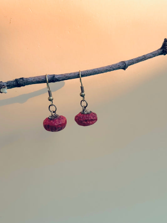 🌹 Naturally Dried Rosehip Earrings – Botanical Simplicity