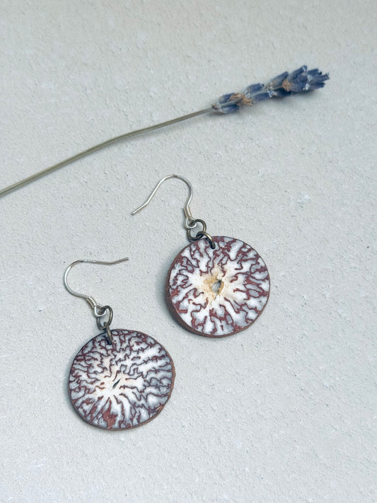 🌿 Betel Beauty – Natural Nut Earrings with Silver Hooks