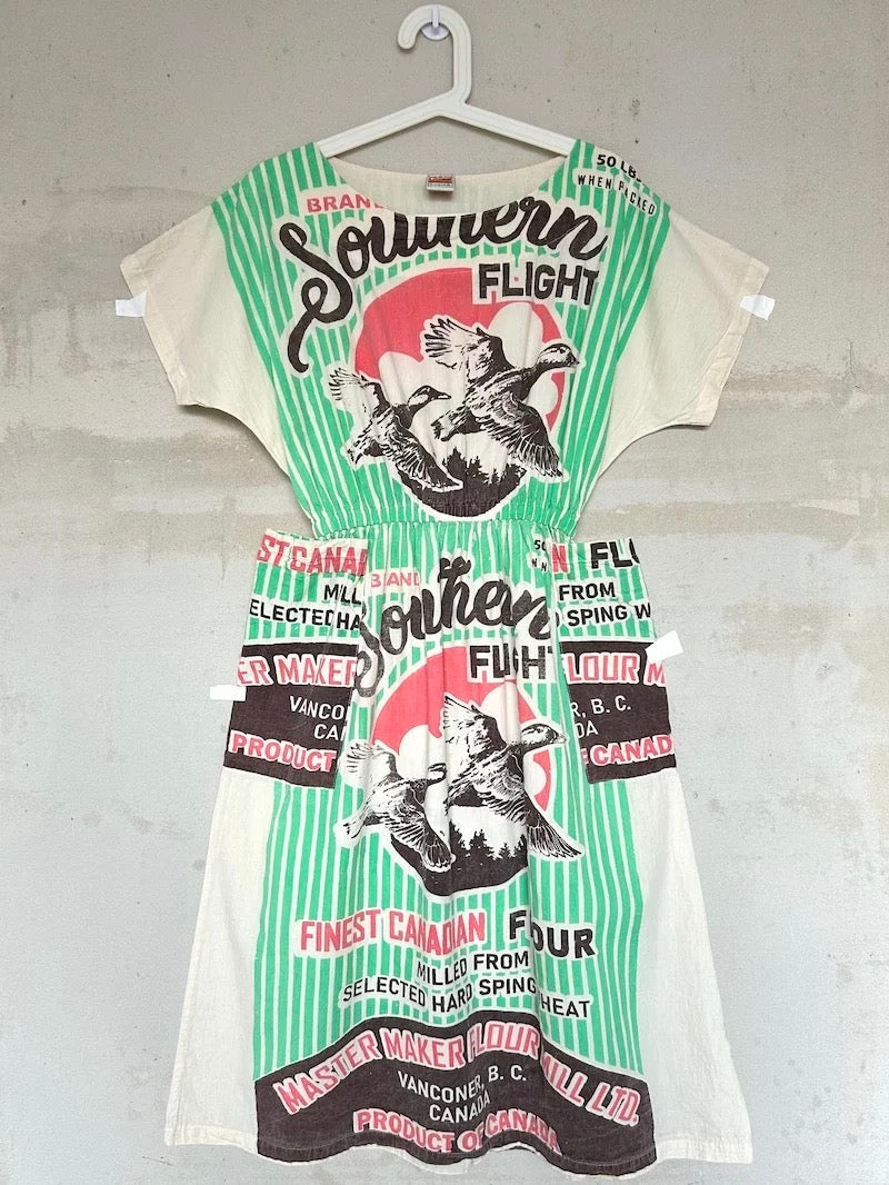 Vintage Thai Cotton Market Dress – Tomato / Southern Flight Print