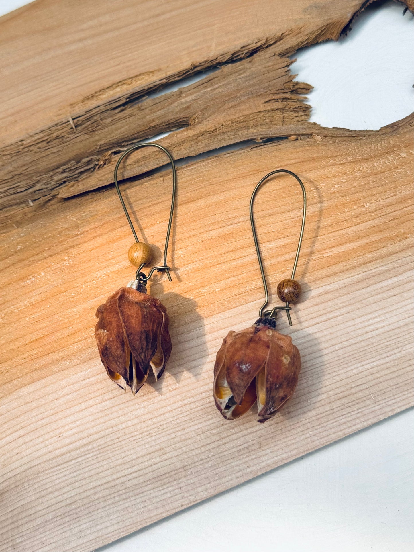 🌿 Sandalwood Blossom Drop Earrings – Copper & Rose Shell Accents