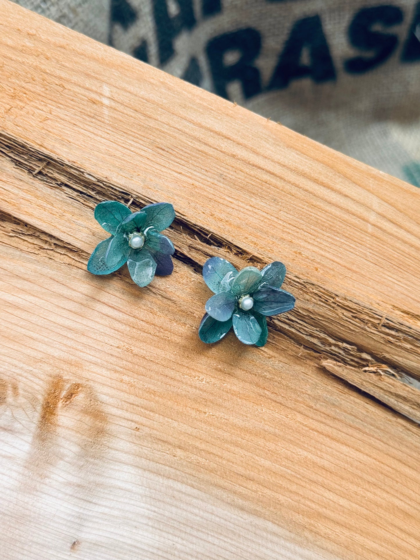 Real Hydrangea Flower Stud Earrings – Deep Green & Teal | Silver Needle