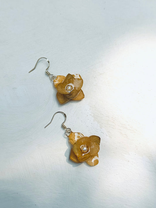 Golden Hydrangea Earrings – Real Flower Jewelry | 14K Gold Hooks