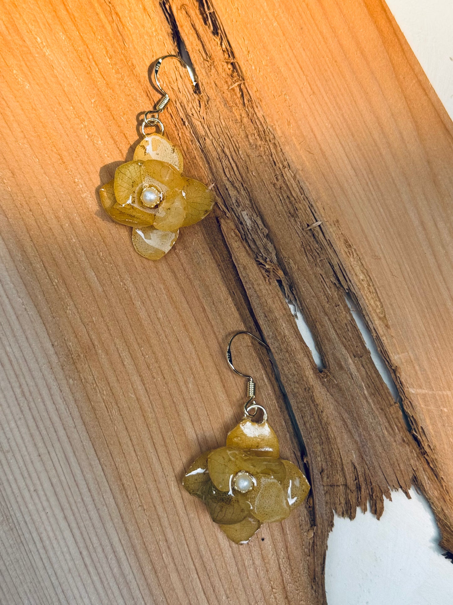 Golden Hydrangea Earrings – Real Flower Jewelry | 14K Gold Hooks